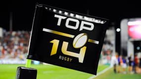 Top 14