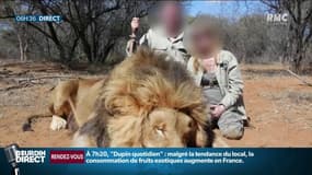 Polémique autour de leurs photos d'un safari: les gérants d'un super U contraints de démissionner