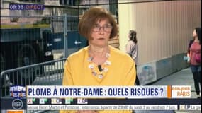 L’association des familles victimes du saturnisme préoccupée par la pollution au plomb à Notre-Dame: "nous nous inquiétons depuis l’incendie"