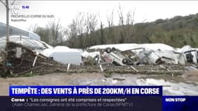 Tempête Fabien: des vents à près de 200km/h en Corse