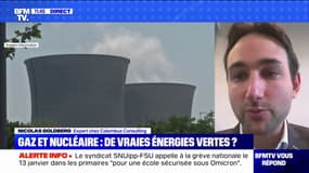 Comment le nucléaire et le gaz peuvent-ils être considérés comme des énergies vertes ?