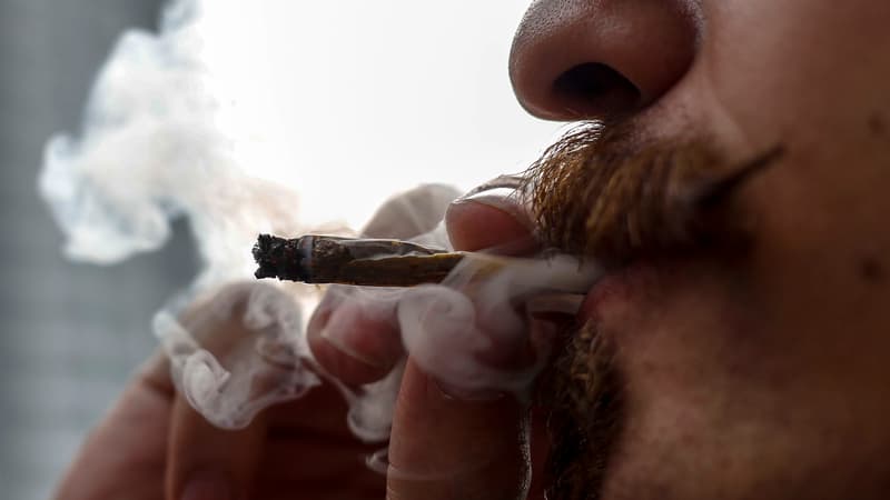 Le cannabis serait vendu dans des boutiques spécialisées, interdites aux mineurs