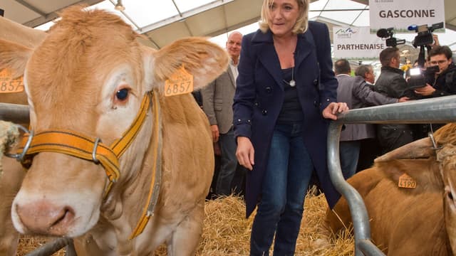Marine Le Pen était en visite au Sommet de l'Élevage à Cournon-d'Auvergne, vendredi 7 octobre.