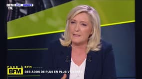 Marine Le Pen: "Les Français sont cernés par l'ultra-violence" 