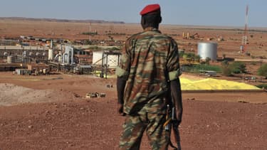 Les quatre otages ont été enlevés sur leur lieu de travail, un site d'Areva au Niger.