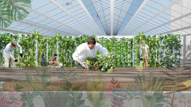 Une ferme maraîchère de 7.000 m2 verra bientôt le jour Porte de la Chapelle.