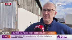 Huîtres : la filière tente de se relever de la crise 