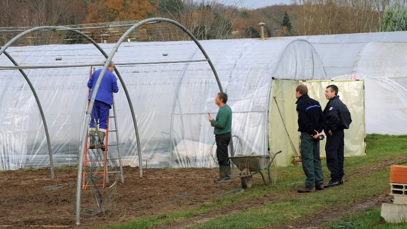 La formation ferme-école à la prison de Mauzac, en Dordogne, le 10 décembre 2009.