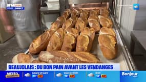 Beaujolais: du bon pain avant les vendanges