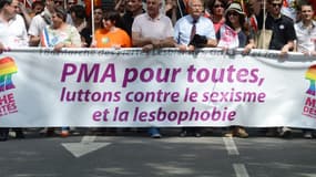 Des manifestants à la gay pride de Lyon en juin 2013