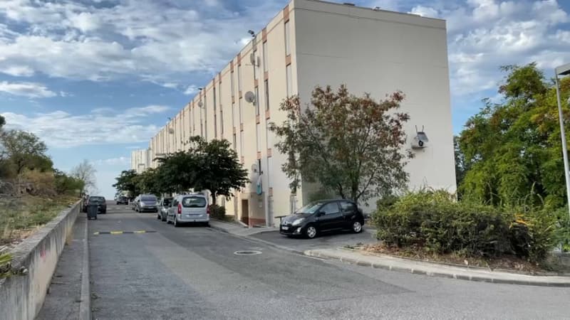 Le quartier de la Bricarde, à Marseille, près de laquelle le corps de Mohammed S. a été retrouvé.
