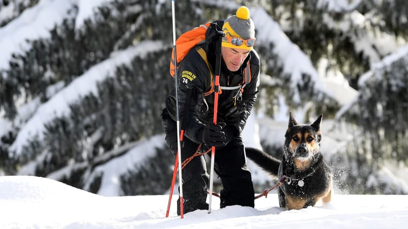 Un exercice de sauvetage en montagne en cas d'avalanche, le 19 décembre 2017 aux Gets.