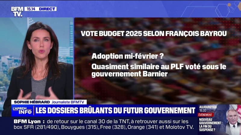 Budget 2025, colère des agriculteurs, plans sociaux... les dossiers chauds qui attendent les futurs ministres