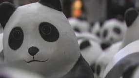 L'artiste français Paulo Grangeon fait des pandasn en papie mâché pour sensibiliser à la cause environnementale.