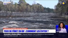 Île-de-France: comment lutter contre les feux de forêt