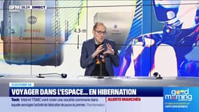 Culture IA : Voyager dans l'espace... en hibernation, par Anthony Morel - 04/04