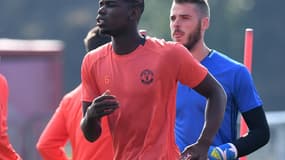 Paul Pogba &amp; David De Gea