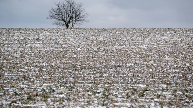 Dès 200 à 300 mètres: de la neige attendue ce jeudi à faible altitude sur une partie de l'est de la France