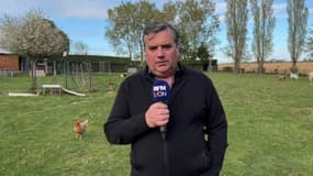 "Mon président", la parole aux Rhodaniens: Stéphane, agriculteur