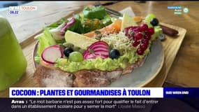 Passions Provence du samedi 14 octobre 2023 - Cocoon, plantes et gourmandises à Toulon