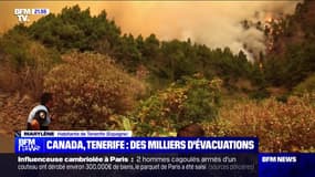 "On a été très entouré": Une habitante française de Tenerife témoigne au sujet de l'incendie qui frappe l'île des Canaries