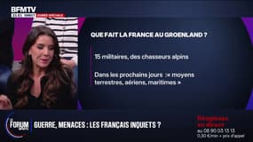 FORUM BFM - 15 militaires, moyens aériens et maritimes... Quel est le soutien de la France au Groenland?