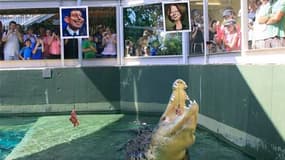 Suivant l'exemple de Paul le poulpe, un crocodile marin nommé Harry a pronostiqué la victoire du Premier ministre travailliste australien Julia Gillard lors des élections législatives de samedi, qui s'annoncent particulièrement serrées. Le reptile de Darw