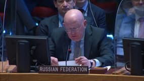 L'ambassadeur de la Russie à l'ONU affirme que "600.000 personnes ont été évacuées par la Russie, pas enlevées"