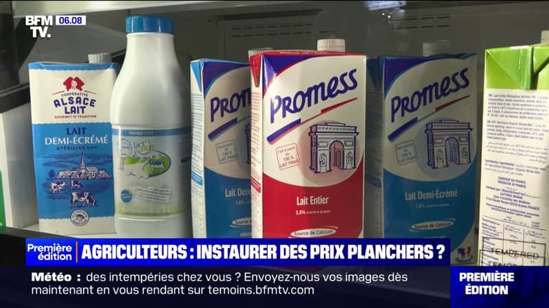 Emmanuel Macron veut instaurer un prix plancher pour garantir les revenus des agriculteurs