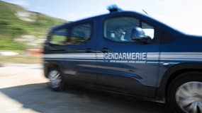 Des gendarmes dans une voiture à Saint-Jouin-Bruneval (Seine-Maritime), le 5 juillet 2023. (Photo d'illustration)