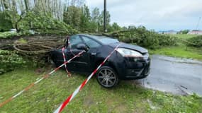 Un arbre a chuté sur une voiture ce dimanche 5 mai 2024 en Dordogne après un violent orage.