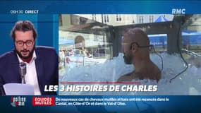 «Les 3 histoires de Charles Magnien » : Des ventes insolites sur eBay et passer 2h30 dans un bac à glace - 07/09