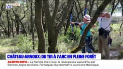 Château-Arnoux: du tir à l'arc en pleine forêt