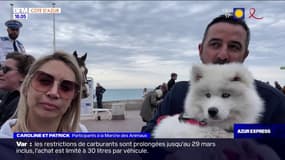 Nice: les animaux défilent sur la promenade des Anglais