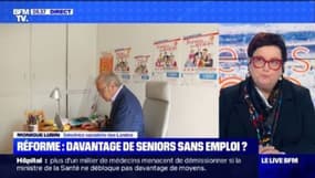 Réforme: davatange de seniors sans emploi ? (1/2) - 14/01