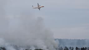 Un incendie dans la forêt de Brocéliande en Bretagne, le 17 juillet 2025.