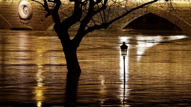 A cause de remontées d'eau depuis les nappes phréatiques, des coupures d'électricité pourraient avoir lieu à Paris.