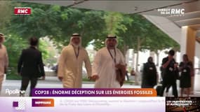 COP28 : énorme déception sur les énergies fossiles