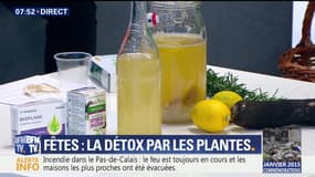 Fêtes : la détox par les plantes