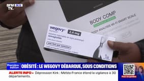 Vendu sur ordonnance et non remboursé pour l'instant, Wegovy, un médicament contre l'obésité, arrive en France sous conditions