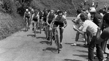 Bernard Hinault près de l'Alpe d'Huez, sur le Tour de France en 1981