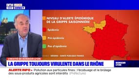 Rhône: l'épidémie de grippe toujours "dans sa phase de croissance"