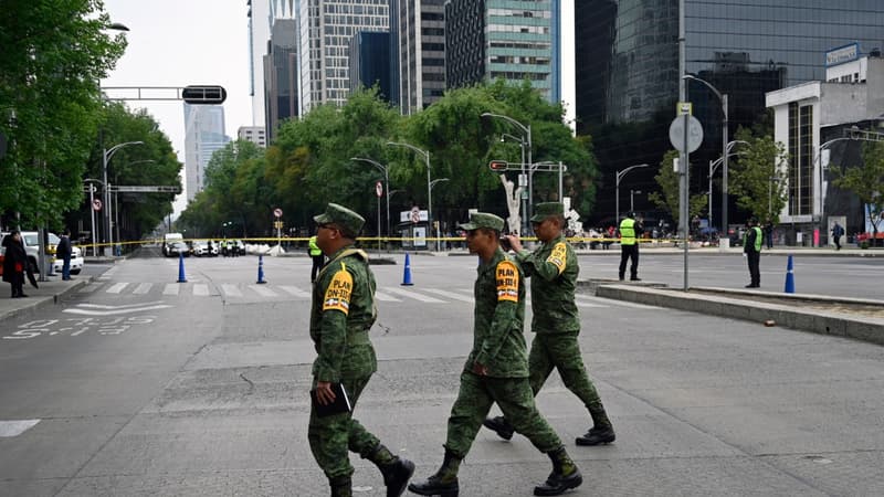 Des soldats de l'armée mexicaine lors d'un exercice à Mexico City, le 20 janvier 2020 (photo d'illustration)