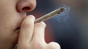 Une majorité de Français (51%) est "plutôt favorable" à la dépénalisation du cannabis pour la première fois depuis les années 1970