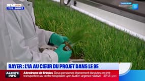Bayer: l'IA au cœur du projet dans les laboratoires de Lyon