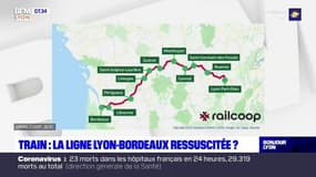 Transport: une coopérative ferroviaire veut relancer la liaison Lyon-Bordeaux