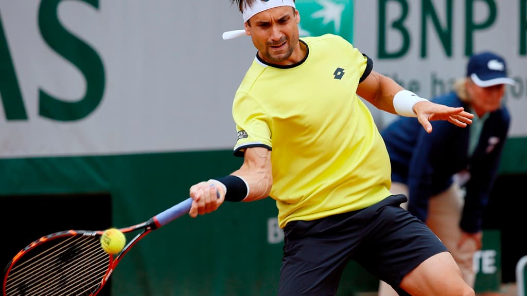 David Ferrer David Ferrer