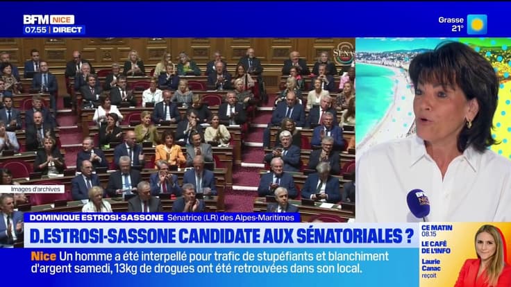 Élections sénatoriales 2026 : Dominique Estrosi-Sassone sera candidate pour conduire la liste LR dans les Alpes-Maritimes
