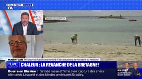  "Il y a une accélération des réservations": Hubert Jean, président de l'UMIH du Finistère, indique que la bonne météo booste le tourisme dans le région 