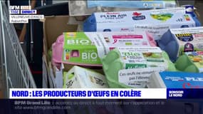 Nord: les producteurs d'œufs demandent une revalorisation de leurs prix
